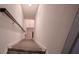 Carpeted stairs leading to the upper level of the home at 13940 Magnolia Ridge Loop, Winter Garden, FL 34787