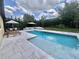 Relaxing backyard oasis featuring a swimming pool, lounge chairs, and manicured landscaping at 14117 Larkspur Lake Dr, Winter Garden, FL 34787