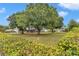 Expansive backyard featuring mature trees, a screened patio, and lush landscaping at 15650 Catherine Cir, Groveland, FL 34736