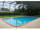 Inviting screened-in pool with clear blue water surrounded by lush greenery at 1809 Pepperidge Dr, Orlando, FL 32806