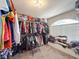 Walk-in closet with carpet and window, plus hanging and shelved storage spaces at 224 Hammock Dunes Pl, Orlando, FL 32828