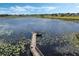 Picturesque aerial view of a community lake with a wooden dock surrounded by trees and lily pads at 4830 Summerbridge Cir, Leesburg, FL 34748