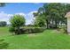Backyard featuring large manicured lawn, mature trees, and decorative landscaping at 4830 Summerbridge Cir, Leesburg, FL 34748