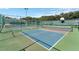 Well-maintained pickleball courts feature smooth surfaces and professional nets at 4830 Summerbridge Cir, Leesburg, FL 34748