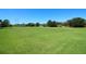 Expansive green field with clear blue sky and scattered trees, providing ample space for recreation at 4954 Alavista Dr, Orlando, FL 32837