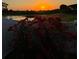 A beautiful backyard view overlooking the lake, with a gorgeous sunset and bougainvillea bush in the foreground at 6947 Cucamelon Ct, Windermere, FL 34786