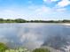 Scenic view of a serene pond with lush greenery along the banks at 8120 Gondola Dr, Orlando, FL 32809