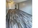 A spacious living room showcasing stylish laminate flooring, gray walls, and a ceiling fan at 2520 Caper Ln # 206, Maitland, FL 32751