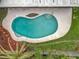 Overhead shot of the backyard pool with tropical landscaping at 8676 Hillside Dr, Orlando, FL 32810