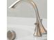 Close up of bathroom faucet at 11027 Hollow Bay Dr, Winter Garden, FL 34787