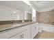 Bright bathroom featuring dual sinks and a tiled bathtub-shower combo at 11288 Listening Dr, Orlando, FL 32832
