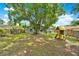 Expansive backyard featuring mature trees, a playset, and lush greenery, creating a serene outdoor space at 1210 Quintuplet Dr, Casselberry, FL 32707