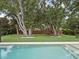 View of pool and play set surrounded by large trees and a landscaped backyard at 1265 Estancia Woods Loop, Windermere, FL 34786
