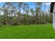 Expansive backyard with lush green grass and a wooded area for privacy at 17397 Sw 41St Cir, Ocala, FL 34473