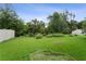 Expansive green backyard featuring lush vegetation with a partial view of the surrounding trees and white fence at 2339 Jernigan Loop, Kissimmee, FL 34746