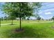 Expansive lawn, perfect for recreation at 5395 Sunshine Dr, Wildwood, FL 34785
