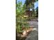 Street view showcasing lush landscaping and a glimpse of the house exterior at 1022 Love Ln # 35, Apopka, FL 32703
