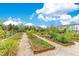 Community garden with raised planting beds for growing vegetables and flowers at 12015 Prologue Ave, Orlando, FL 32832