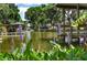 Lush backyard showing canal featuring dock, covered seating, and vibrant water plants enhancing the scenic waterfront ambiance at 225 Temple Cir, Eustis, FL 32726