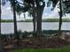 Scenic lake view framed by trees with Spanish moss, creating a serene and picturesque setting at 25210 Northlake Dr # 210, Sanford, FL 32773