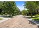 Charming brick street view lined with mature trees and sidewalks in a quiet neighborhood at 602 E Livingston St # 3, Orlando, FL 32803