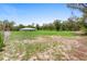 Lush, green yard view showcasing the home nestled among mature trees at 920 Grand Ave, Orange City, FL 32763