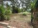 Expansive backyard offering ample space for recreation and outdoor activities at 10301 Us Highway 27 # 34, Clermont, FL 34711
