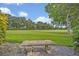 Expansive backyard view with lush green grass and mature trees at 922 N Pennsylvania Ave, Winter Park, FL 32789