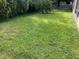 A spacious backyard featuring a grassy area, suitable for various outdoor activities and landscaping possibilities at 11236 Rouse Run Cir, Orlando, FL 32817