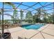 Backyard pool and lake view through the screen enclosure, plus tropical landscaping for privacy at 13626 Sunset Lakes Cir, Winter Garden, FL 34787