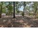 Large, private backyard with mature trees, pool, and storage shed at 1425 Mt Laurel Dr, Winter Springs, FL 32708