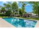 Inviting pool offers a tranquil escape with clear blue water, surrounded by lush greenery and mature trees at 213 N Monterey Isle, Longwood, FL 32779