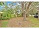 A large, private backyard with mature trees and lush greenery at 4865 Gorham Ave, Orlando, FL 32817