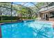 Sparkling pool surrounded by a screened enclosure and lush landscaping at 831 Royalwood Ln, Oviedo, FL 32765