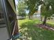 A spacious backyard featuring lush green grass, mature trees, and a trampoline, perfect for outdoor activities at 12679 Calderdale Ave, Windermere, FL 34786