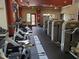 Well-equipped fitness center with modern exercise machines at 541 Arena Dr, Davenport, FL 33837