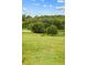 Spacious pasture with lush grass, mature trees, and a horse grazing at 12434 Sullivan Rd, Clermont, FL 34715