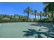 Community basketball court featuring palm trees and landscaping for outdoor recreation at 1400 Lake Shadow Cir # 10104, Maitland, FL 32751