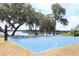 Enjoy a friendly basketball game on the community court overlooking the serene lake at 14038 Bluebird Park Rd, Windermere, FL 34786