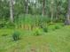 Lush backyard featuring a variety of native Florida plants at 149 Spanish Bay Dr, Sanford, FL 32771