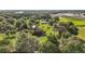 Expansive aerial view of the property, showcasing the home, lush greenery, and serene surroundings at 17952 Lookout Hill Rd, Winter Garden, FL 34787