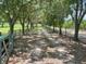 Long, tree-lined driveway leading to the property, creating a grand entrance at 17952 Lookout Hill Rd, Winter Garden, FL 34787