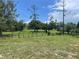 Spacious grassy yard with scattered trees, perfect for outdoor activities at 17952 Lookout Hill Rd, Winter Garden, FL 34787