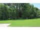 Lush backyard featuring a line of mature trees at 2543 Chapala Dr, Kissimmee, FL 34746
