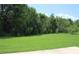Green backyard with scattered saplings and mature trees at 2543 Chapala Dr, Kissimmee, FL 34746