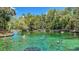 Beautiful waterfront scene with swimmers enjoying clear water surrounded by lush trees at 2547 Long Pine Ave, Apopka, FL 32712