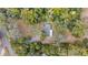 Aerial shot of home nestled among lush greenery with a winding driveway and expansive wooded surroundings at 2829 Lake Griffin Rd, Lady Lake, FL 32159