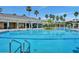 Luxurious pool area with palm trees, inviting blue water, and a meticulously maintained deck at 8168 Boat Hook Loop # 201/718, Windermere, FL 34786