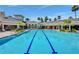 Beautiful community pool featuring mature palm trees, blue water, and clear skies at 8168 Boat Hook Loop # 201/718, Windermere, FL 34786