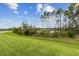 Scenic backyard with lush green grass, natural foliage, and a serene lake view, ideal for relaxation at 9844 Beach Port Dr, Winter Garden, FL 34787